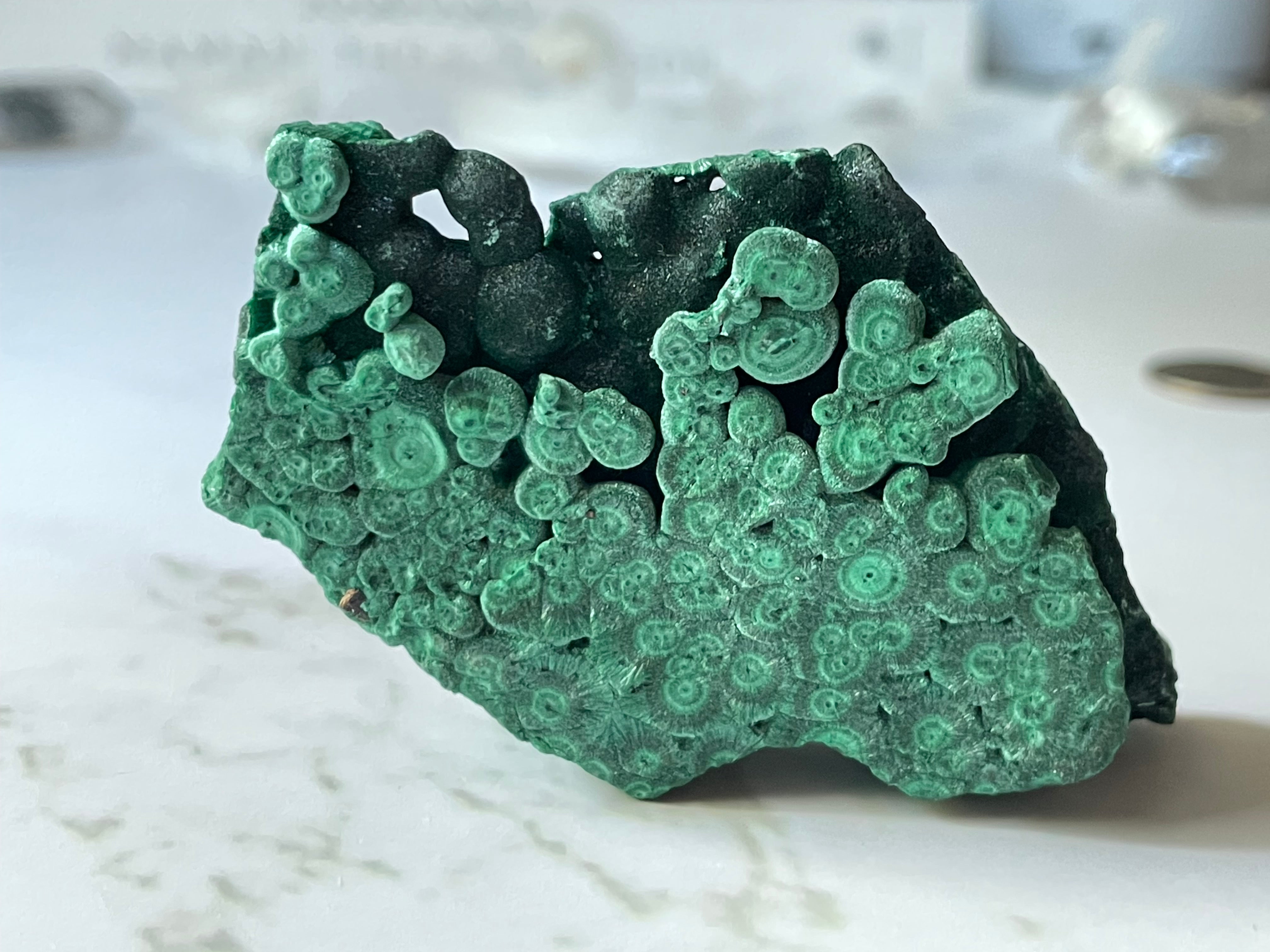 Banded green malachite cabochon with concentric rings — Katanga, DR Congo | LBV Crafts